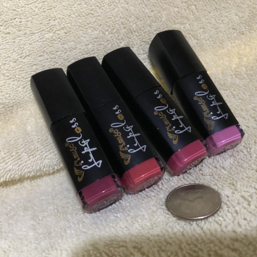 4 piece Amuge Lip gloss